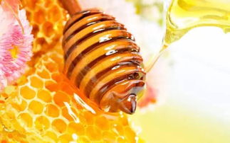 蜂蜜和大葱隔多久能吃（喝完蜂蜜水后多长时间吃葱不会中毒）