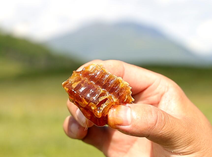 蜂巢蜜的颜色（蜂蜜什么颜色的最好）