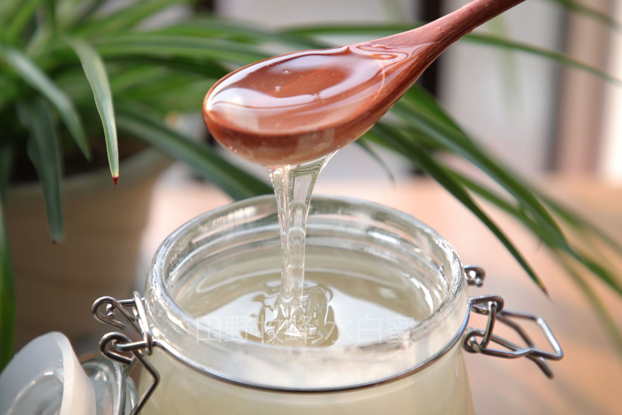什么是水白蜜（水白蜜是一种什么蜜）