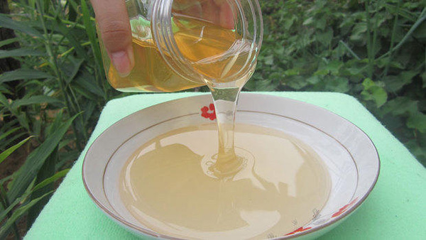 意蜂蜜和中蜂蜜哪个好（中蜂蜜和意蜂蜜的区别）