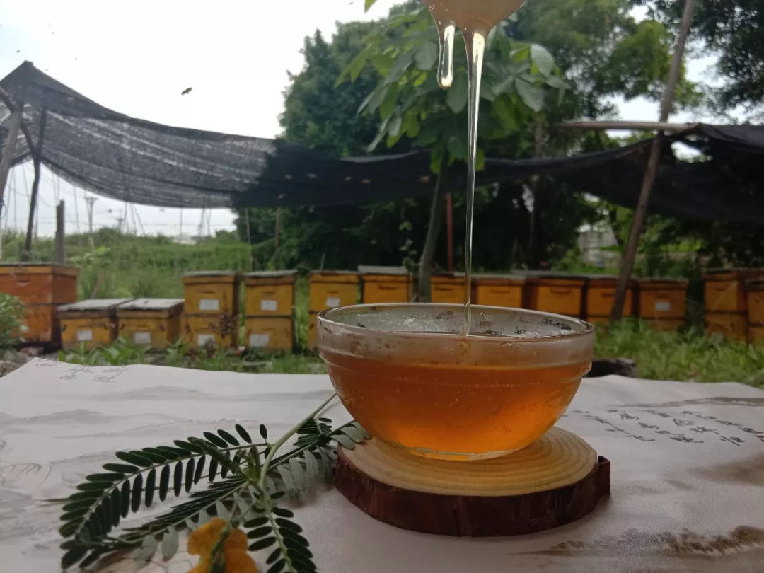 荔枝蜜美容真的有用吗（荔枝蜜美容的方法）