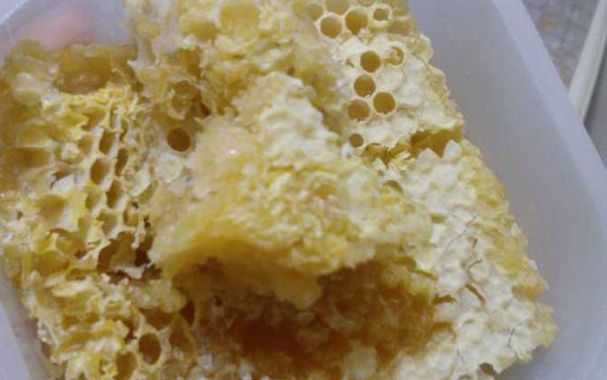 蜂巢蜜为什么嚼不烂（蜂巢蜜能直接食用吗）