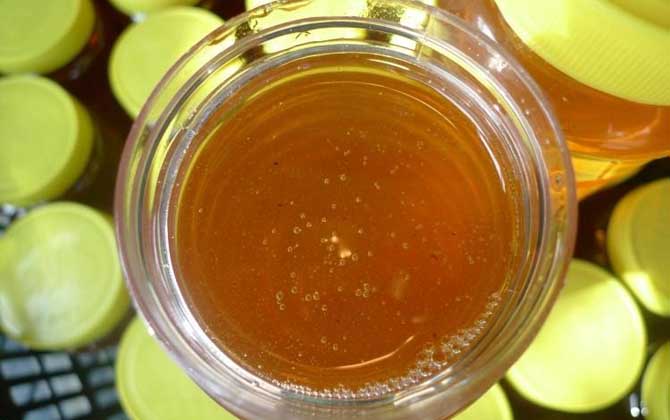 荆条蜜怎么辨别真假（荆条蜜的真假怎么鉴别）