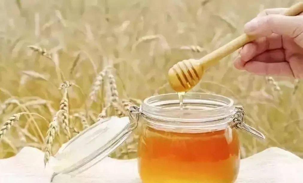 东北黑蜂椴树雪蜜怎么做面膜（蜂蜜蛋黄面膜的做法和作用）