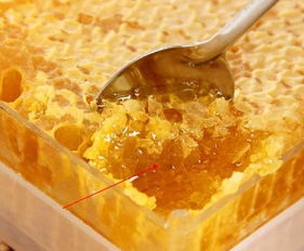 蜂巢蜜能保存多久（蜂巢蜜保质期）