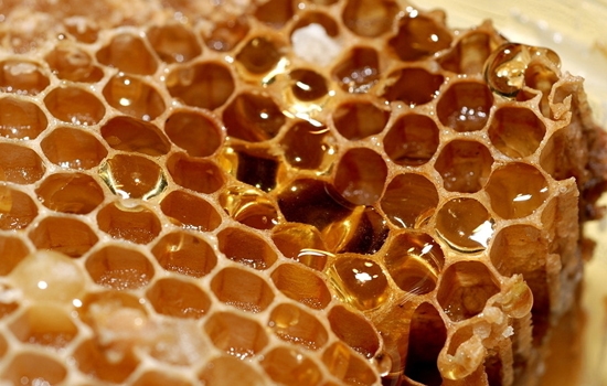 波美度42的蜂蜜好吗（蜂蜜波美度多少好）